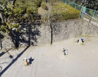 横川つつじ公園