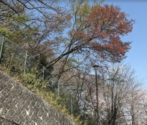 片倉車石北公園の画像
