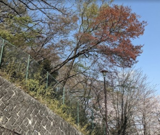 片倉車石北公園の画像1