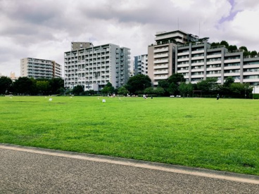 杉並区立桃井原っぱ公園の画像1