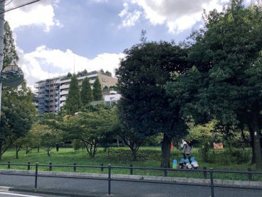 杉並区立桃井原っぱ公園の画像2