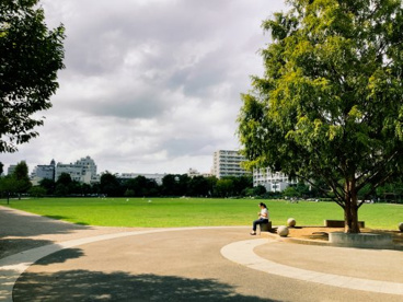 杉並区立桃井原っぱ公園の画像3