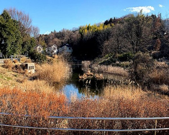 由木めぐみ野公園の画像1