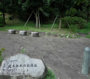 鑓水板木の杜緑地の画像1