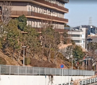 別所１号緑地の画像1