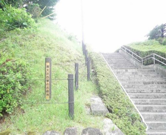 南大沢四季の丘緑地の画像1