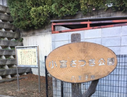 小宮さつき公園の画像