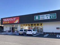 ツルハドラッグ 薊野店