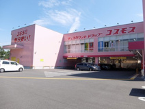 ディスカウントドラッグ コスモス 薊野店