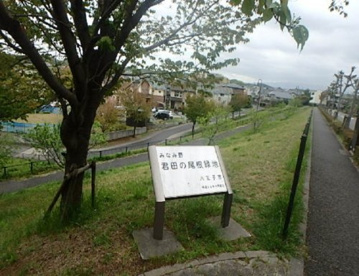 みなみ野君田の尾根緑地の画像1