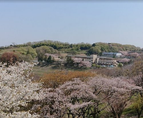 白山神社下公園の画像