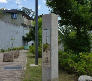 堀之内東山ふれあい西緑道の画像1