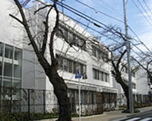 セント・メリーズ・インターナショナル・スクール