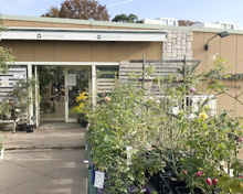 プロトリーフ ガーデンアイランド 玉川店