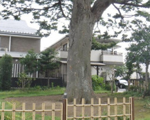 瀬田２丁目31公園