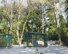 世田谷区立五郎様の森緑地
