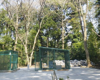 世田谷区立五郎様の森緑地の画像1
