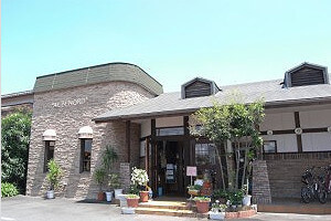 アルビノールの画像1