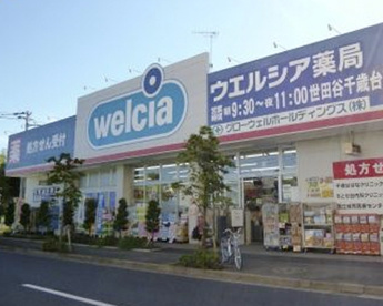 ウエルシア世田谷千歳台店の画像1