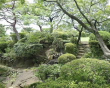 公園 等々力渓谷内日本庭園・書院