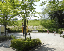 公園 野毛二丁目さくら公園