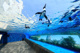 サンシャイン水族館の画像