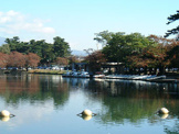 敷島公園