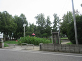青柳公園