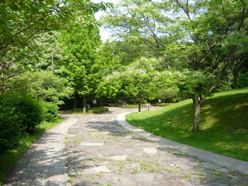 桜ヶ丘公園