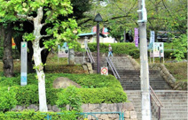 公園 飛鳥山公園