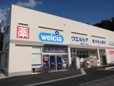 ウエルシア 柏名戸ヶ谷店