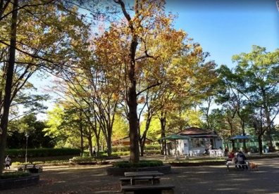 城北中央公園の画像1