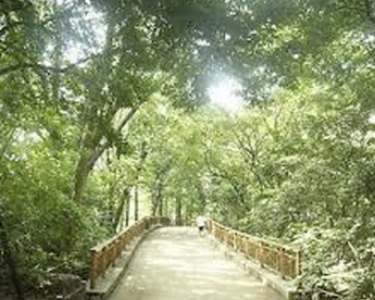林試の森公園 西門の画像1