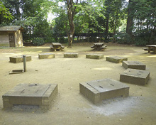 林試の森公園 ディキャンプ場