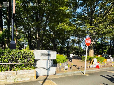 都立 武蔵野公園の画像3