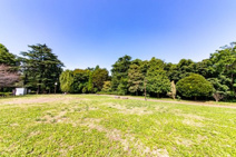 中野区立江古田の森公園