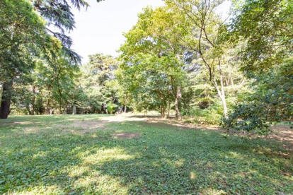 中野区立江古田の森公園の画像2