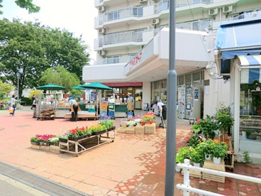 東急ストア東林間店の画像1