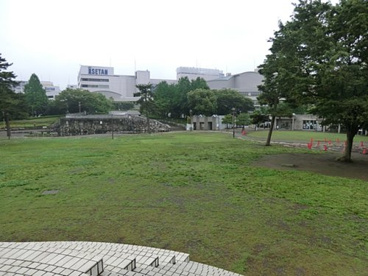 相模大野中央公園の画像1
