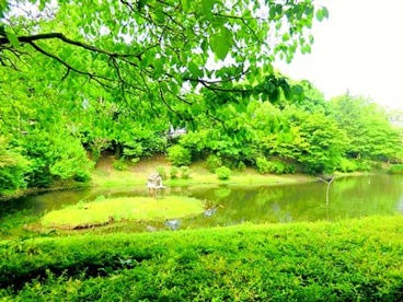 道保川公園の画像1