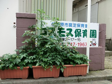 コスモス保育園の画像1