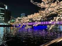 南天満公園