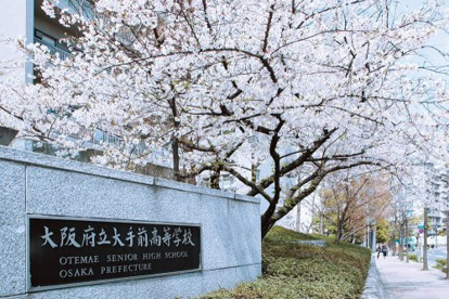 大阪府立大手前高等学校の画像1