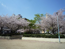 滝川公園