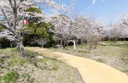 筆山公園の画像1