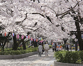 大井水神公園の画像1