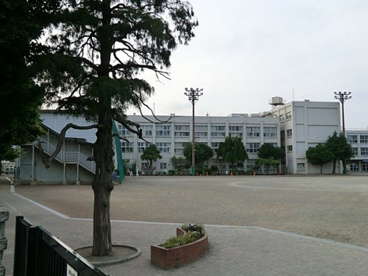 北大和小学校の画像1