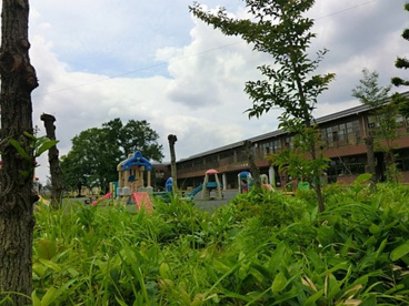 大和みどりが丘幼稚園の画像1