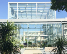 博物館 小石川植物園 公開温室