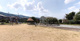 日下公園の画像